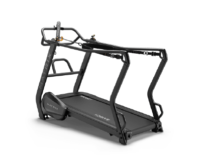 �a�̌����̉@